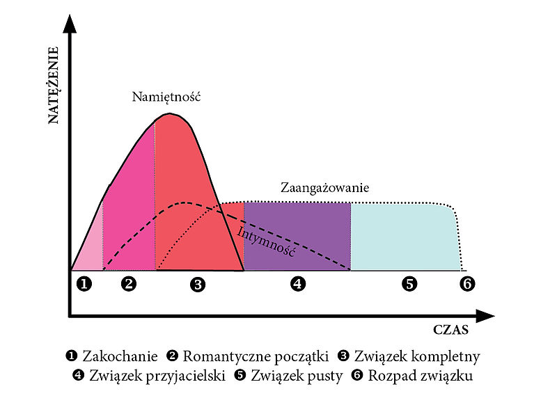 800px-Wariant_dynamiczny_modelu_miłości_Sterneberga_wg_B._Wojciszke,_2010_(modyfikacja_J._A._Kowalski,_2011)